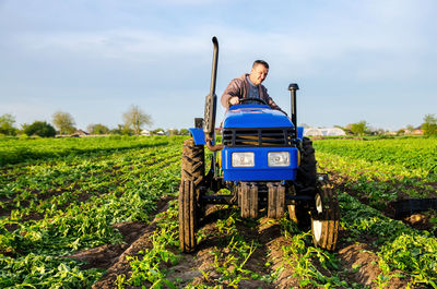 The farmer rides towards on farm field. harvesting crops campaign, earthworks. agro industry