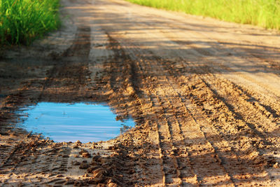 Surface level of dirt road in puddle