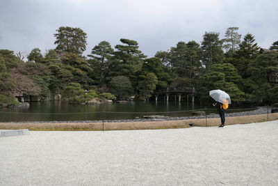 Man walking by trees during rainy season