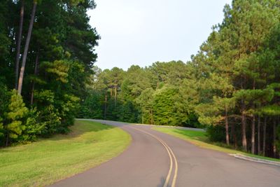 Road amidst trees in forest against sky