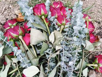 High angle view of flower bouquet