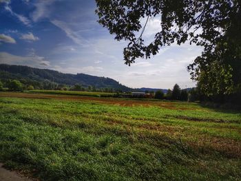 Scenic view of field against sky