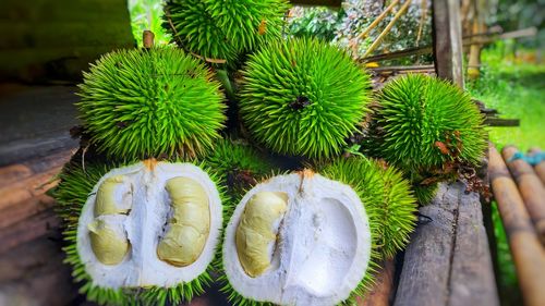 Close-up of fruits