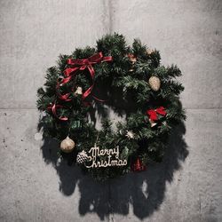 Close up of red flowers