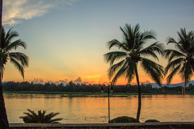 Silhouette palm trees by swimming pool against sky during sunset