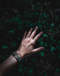 Cropped hand of woman touching plants