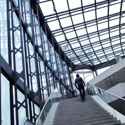 Rear view of man walking on staircase