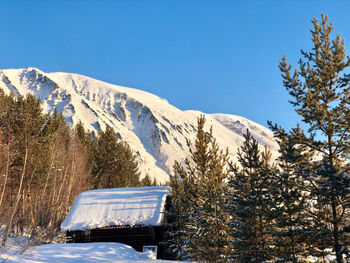 Scenic view of snowcapped mountains against clear blue sky