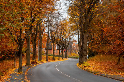 Road amidst trees during autumn