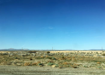 Scenic view of field against clear blue sky