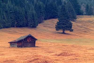 Wooden house on field by trees in forest