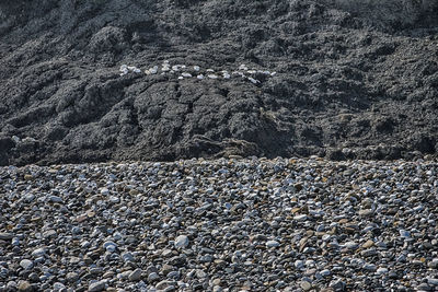 Close-up of pebbles on beach