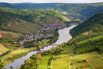 The town ediger-eller and the river moselle as seen from calmont vantage point