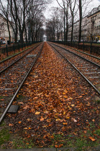 Surface level of railroad tracks