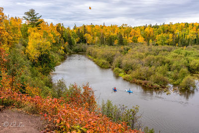 Scenic view of river by trees during autumn