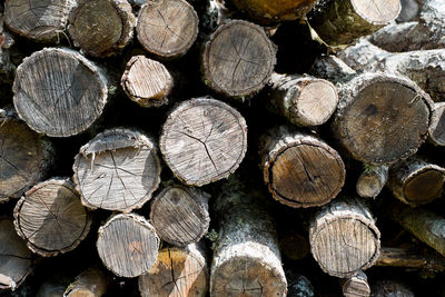 Full frame shot of logs in forest