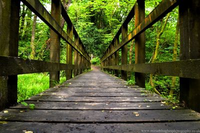 Footbridge over wooden footbridge