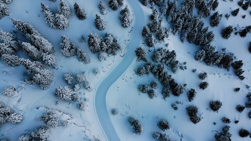 High angle view of snow covered trees on field