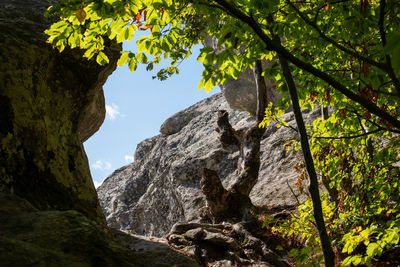 Clearance between the rocks at belintash - an ancient thracian megalith sanctuary.