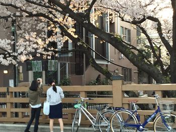 Full length of woman with bicycle standing on tree in city