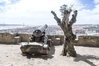 View of tree and cannon against sky