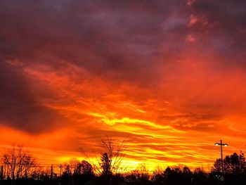 Silhouette trees against orange sky