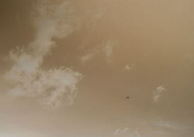 Low angle view of bird flying against sky