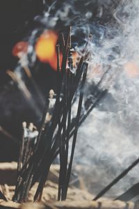 Close-up of incense sticks