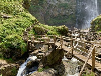 Scenic view of waterfall along trees