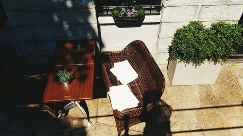 Potted plant on bench against wall