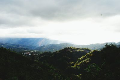 Scenic view of tree mountains against sky