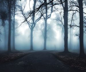 fog