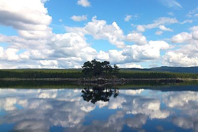 Reflection of trees in lake