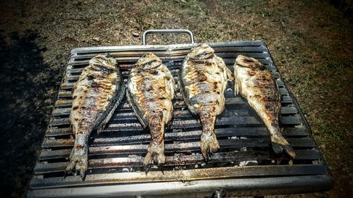 High angle view of grilled fish