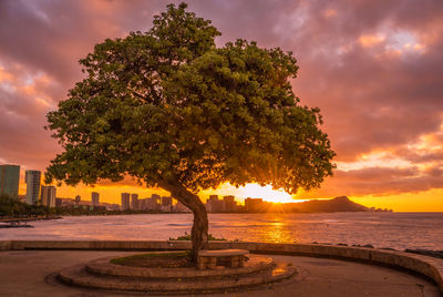 Scenic view of sea against orange sky