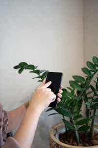 Midsection of woman using mobile phone