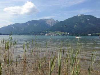 Scenic view of lake against cloudy sky