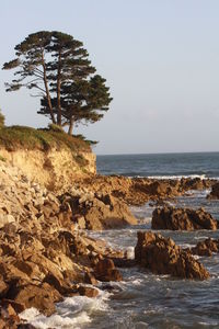 Scenic view of sea against clear sky