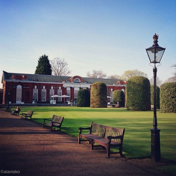 tree, grass, empty, bench, absence, lawn, sky, park - man made space, chair, built structure, clear sky, architecture, park bench, tranquility, green color, field, building exterior, park, nature, sunlight