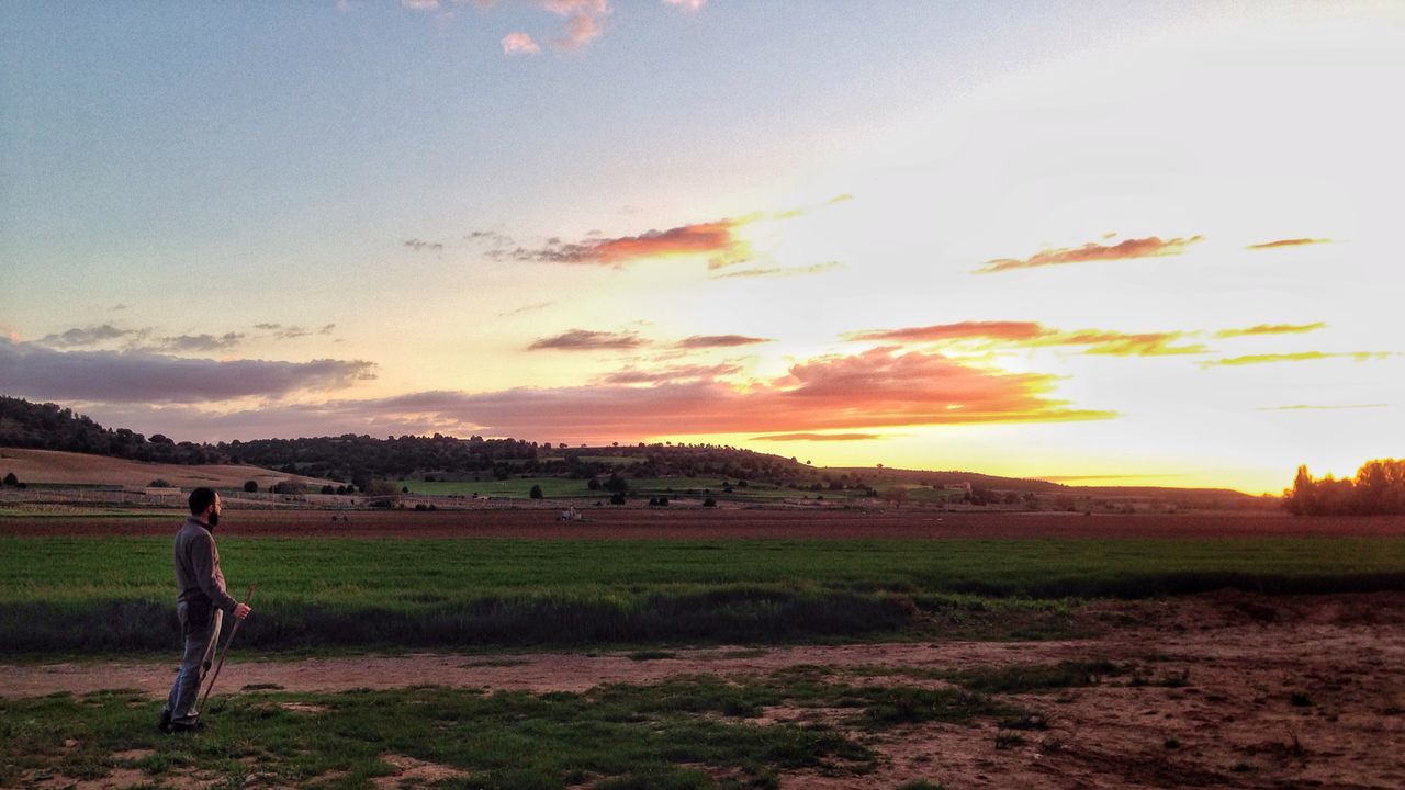 field, landscape, sky, sunset, grass, tranquil scene, tranquility, scenics, rural scene, beauty in nature, nature, agriculture, farm, orange color, grassy, cloud - sky, idyllic, outdoors, sunlight, remote