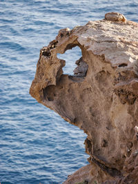 Close-up of rock by sea against sky