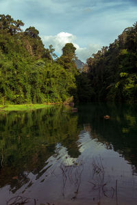 Scenic view of lake in forest against sky