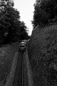 Railroad tracks amidst trees against clear sky