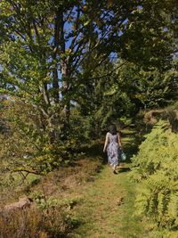 Rear view of women walking in forest