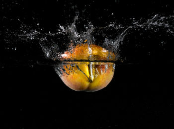 Close-up of orange jellyfish in water against black background