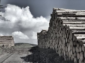 Stack of logs against the sky