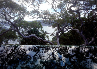 View of a lake against the sky