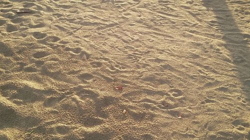 High angle view of footprints on beach