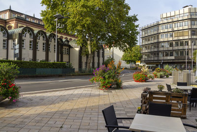 Potted plants on footpath by street against buildings in city