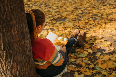 High angle view of man sitting on tree during autumn